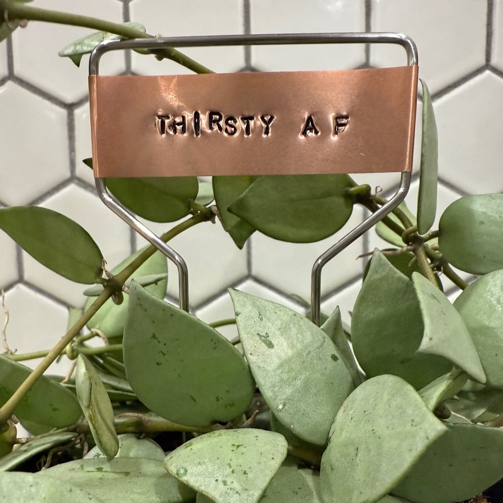 Hand Stamped Copper Plant Marker NEW Thirsty AF
